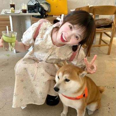 致我们单纯的小美好